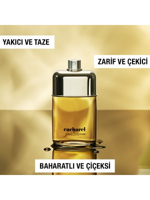 Cacharel Pour Homme Edt 100 ml Erkek Parfümü