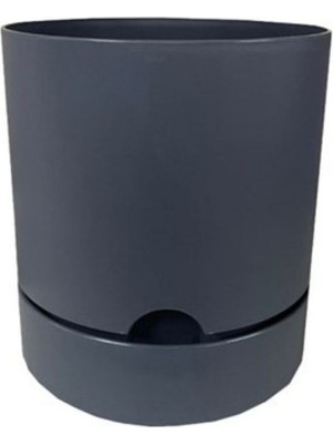 Viyalente Saksı Begonya 21 cm Antrasit