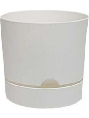 Viyalente Saksı Begonya 12 cm Beyaz