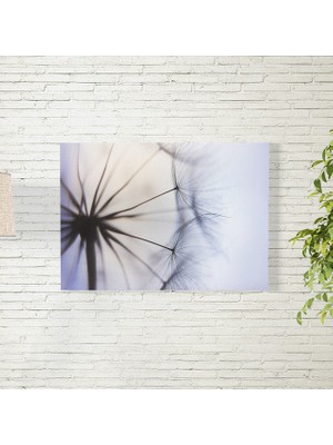 Reysa Tasarım Karahindiba Posteri 35X50 cm