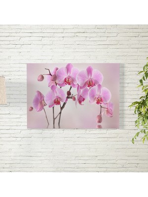Reysa Tasarım Pembe Orkide Temalı Poster 35X50 cm