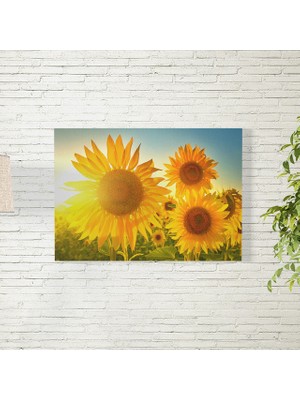 Reysa Tasarım Ay Çiçekleri Poster 35X50 cm