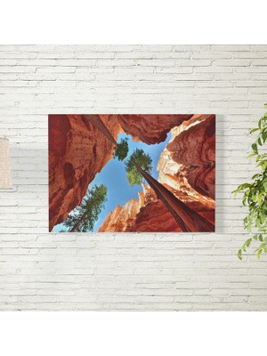 Reysa Tasarım Vadi Arasında Ağaçlar Posteri 35X50 cm