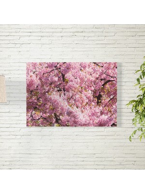 Reysa Tasarım Sakura Ağacı Temalı Poster 35X50 cm