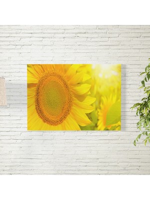 Reysa Tasarım Ay Çiçeği Posteri 35X50 cm