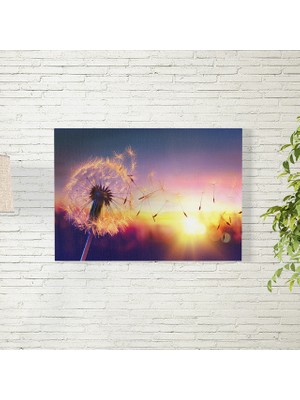 Reysa Tasarım Güneş Vuran Karahindiba Posteri 35X50 cm