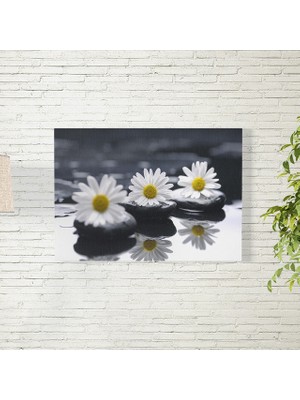 Reysa Tasarım Papatya Posteri 35X50 cm