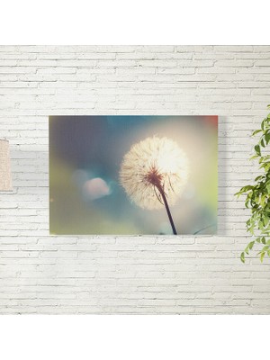 Reysa Tasarım Karahindiba Posteri 35X50 cm