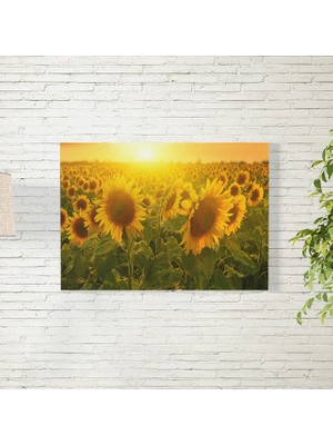 Reysa Tasarım Ay Çiçekleri Poster 35X50 cm