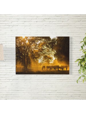 Reysa Tasarım Atlar Posteri 35X50 cm