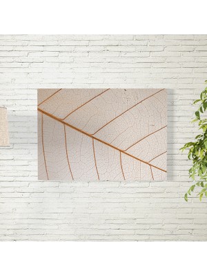 Reysa Tasarım Fraktal Posteri 35X50 cm