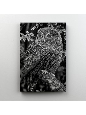 Reysa Tasarım Siyah Beyaz Baykuş Poster 35X50 cm