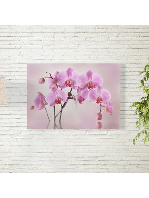 Reysa Tasarım Orkide Çiçeği Posteri 35X50 cm