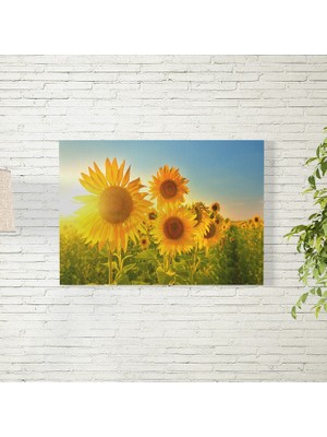 Reysa Tasarım Ay Çiçekleri Poster 35X50 cm