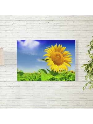 Reysa Tasarım Ay Çiçeği Posteri 35X50 cm