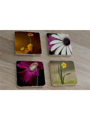 Tablosan Papatya ve Çiçekler Doğal Taş Bardak Altlığı 4'lü Set - Natural Stone Coasters