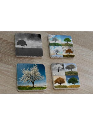 Tablosan Dört Mevsim Ağaçlar Doğal Taş Bardak Altlığı 4'lü Set - Natural Stone Coasters