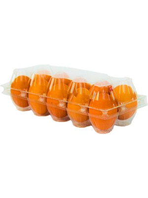Ucuz Viyol 10'lu Plastik Yumurta Viyolü 100 Adet