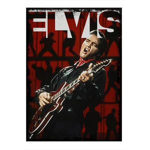 Elvis Presley Modern Ahşap Tablo 22CM x 30CM