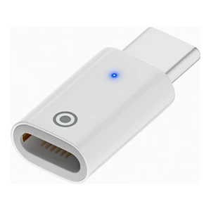 Düz Model Lightning To Type-C Dönüştürücü Apple Pencil Kalem Şarj Adaptörü ALL-36294