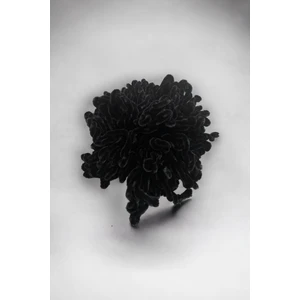 Kadın Siyah Topuz Toka