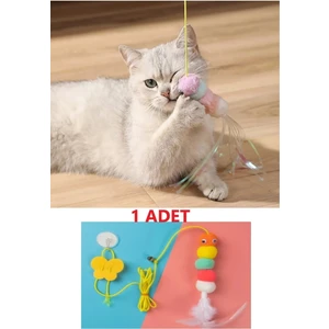 No Name Elastik Kendinden Yapışkanlı Renkli Kedi Oyun Oltası Kedi Oyuncağı Yapışkanlı Olta Eğitim Oyuncağı