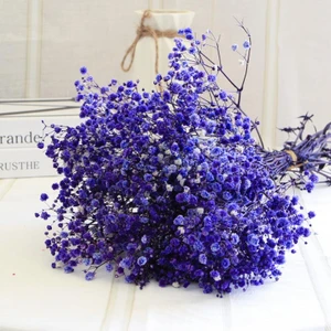 Netten Evime Kuru Çiçek Doğal Mor Cipso 50GRAM 1. Kalite Şoklanmış Bozulmaz