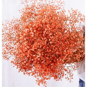 Netten Evime Kuru Çiçek Doğal Turuncu Cipso 50GRAM 1. Kalite Şoklanmış Bozulmaz