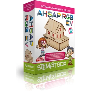 Stemist Box Ahşap RGB Ev
