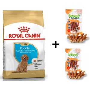 Royal Canin Poodle Puppy Köpek Maması 3 kg + 2 Adet Wooc Ödül 80 gr