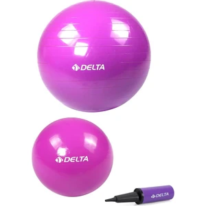 55 cm Pilates Topu 25 cm Mini Denge Topu ve Pompası Seti