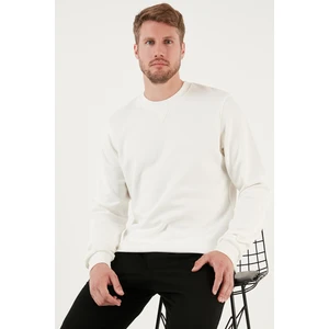 Pamuklu Regular Fit Bisiklet Yaka Sweat Erkek Sweat 5905453