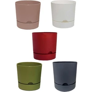 5 Adet Polıwork Saksı Begonya 9 cm Renkli