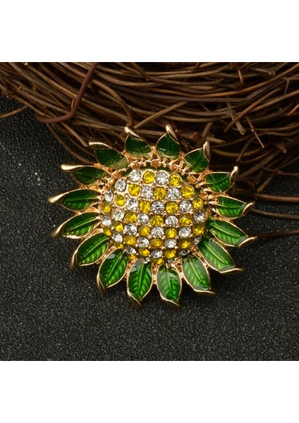 Broş (Yurt Dışından) fırsatları