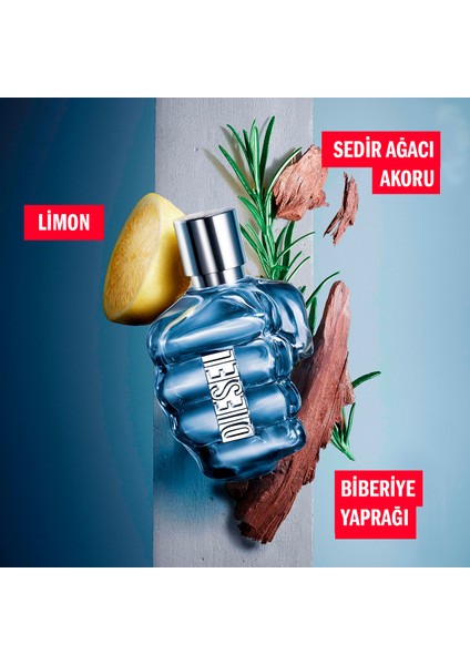 Only The Brave Edt 50 ml Erkek Parfümü