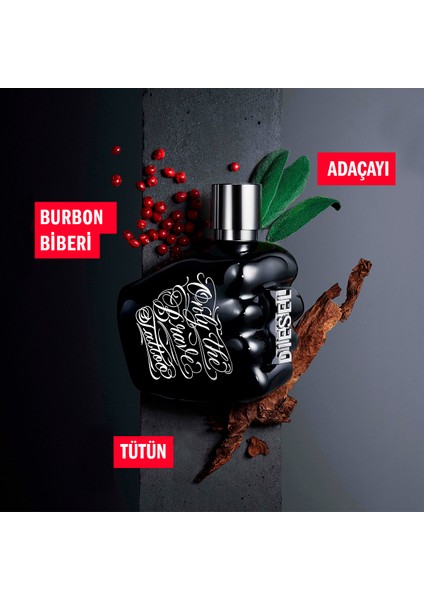 Only The Brave Tattoo Edt 50Ml Erkek Parfümü