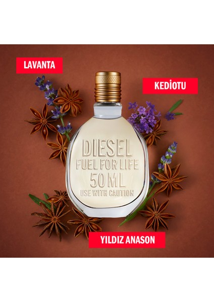 Fuel For Life Edt 50 ml Erkek Parfümü