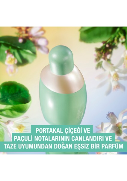 Eden Edp 30 ml Kadın Parfümü