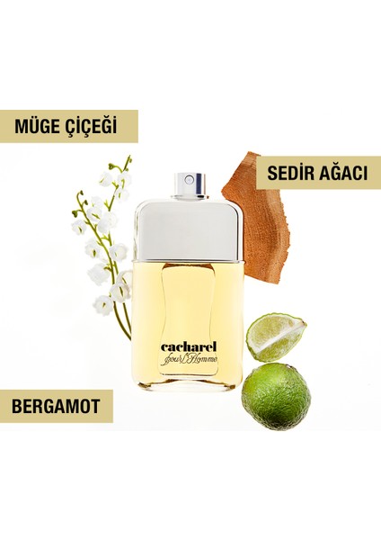 Pour Homme Edt 100 ml Erkek Parfümü