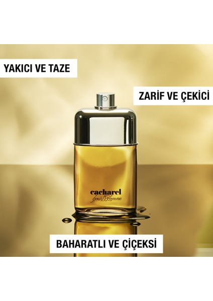 Pour Homme Edt 100 ml Erkek Parfümü