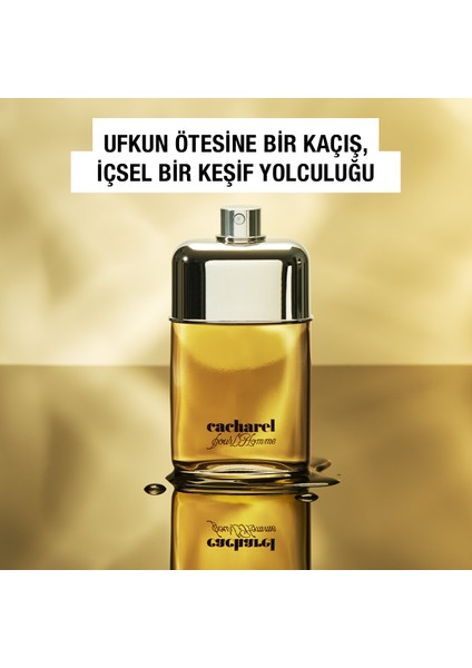 Pour Homme Edt 100 ml Erkek Parfümü