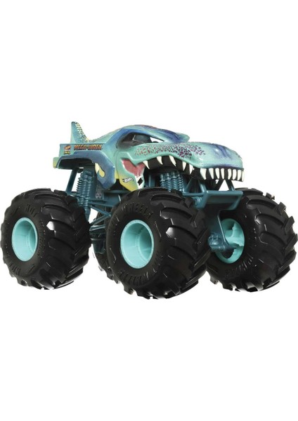 Toys Hot Wheels Monster Trucks 1:24 Arabalar FYJ83-HKM58