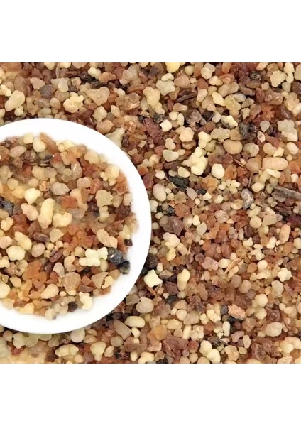 Akgünlük Sakızı 50 gr fiyatları