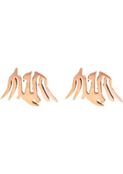 Kadın Küpe (Yurt Dışından)