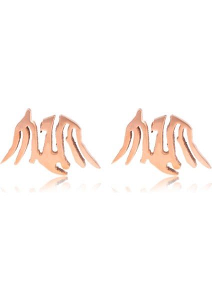 Kadın Küpe (Yurt Dışından) fırsatları