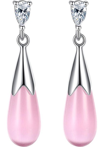 Kadın Küpe (Yurt Dışından)