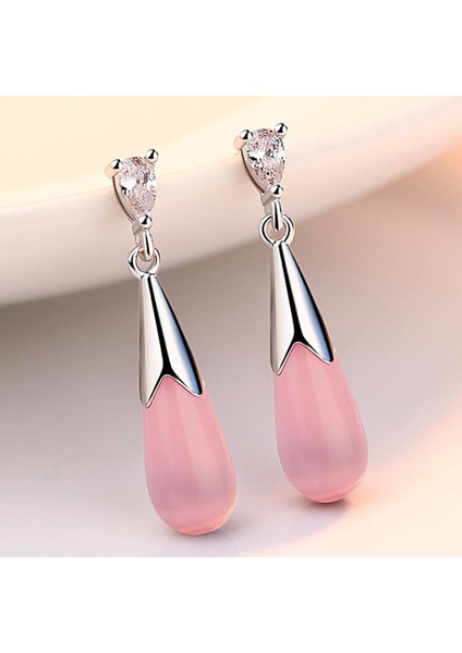 Kadın Küpe (Yurt Dışından) fiyatları