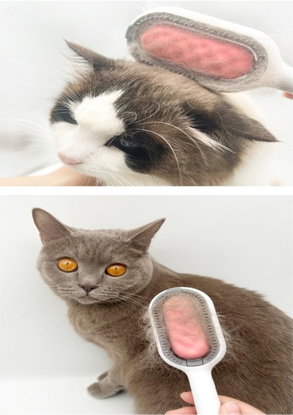 Kedi Köpek Tüy Saç Tımar Temizleme Fırçası Tarağı