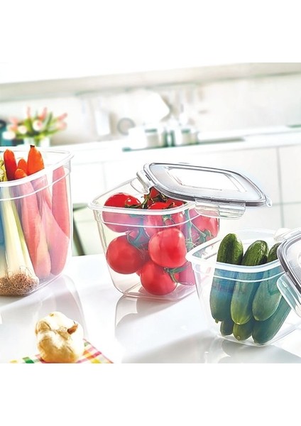 Fresh Box Derin Kare No:3 3.6 Lt Lc-160