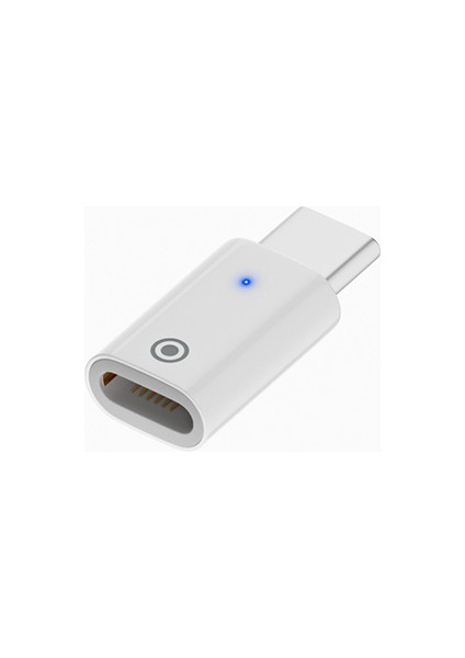 Düz Model Lightning To Type-C Dönüştürücü Apple Pencil Kalem Şarj Adaptörü ALL-36294